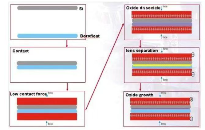 1765418695626043.png 2.png